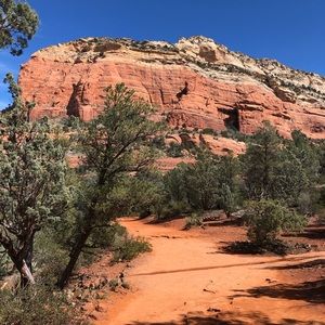 Meet your Posher, Maddy